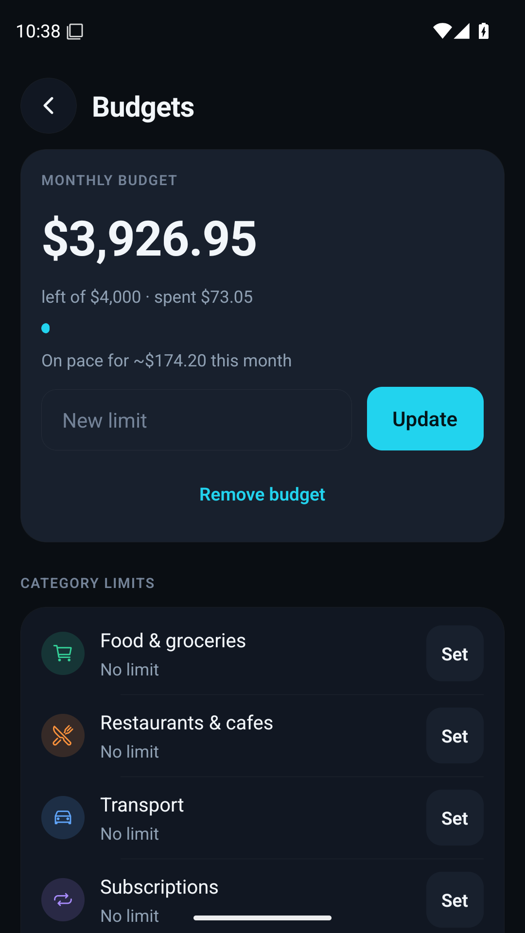 Numari category budgets with example spending totals and remaining amounts.